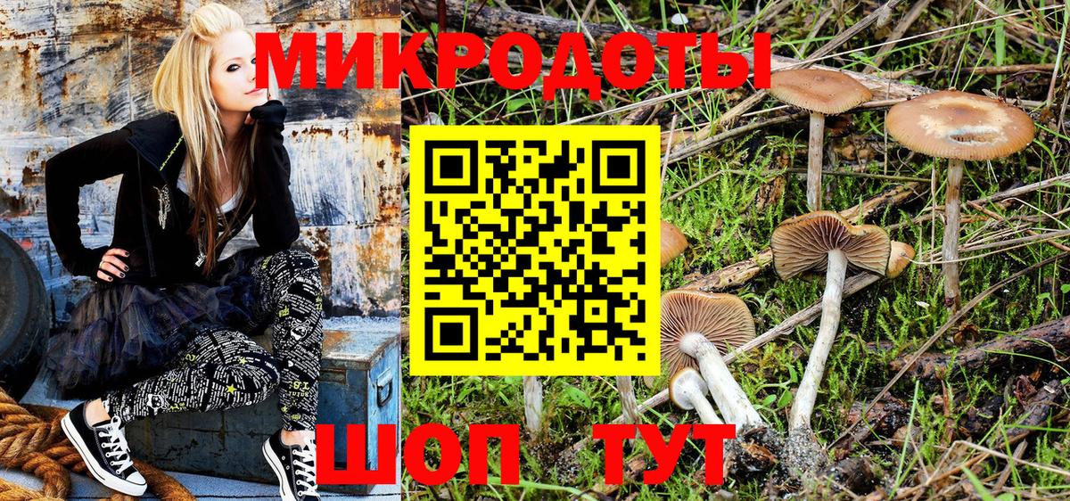 купить   Галлюциногенные грибы Magic Shrooms  Галлюциногенные грибы Psilocybe  Вход с VPN  Амурск 