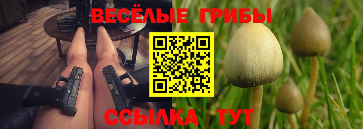 Псилоцибиновые грибы Cubensis Амурск